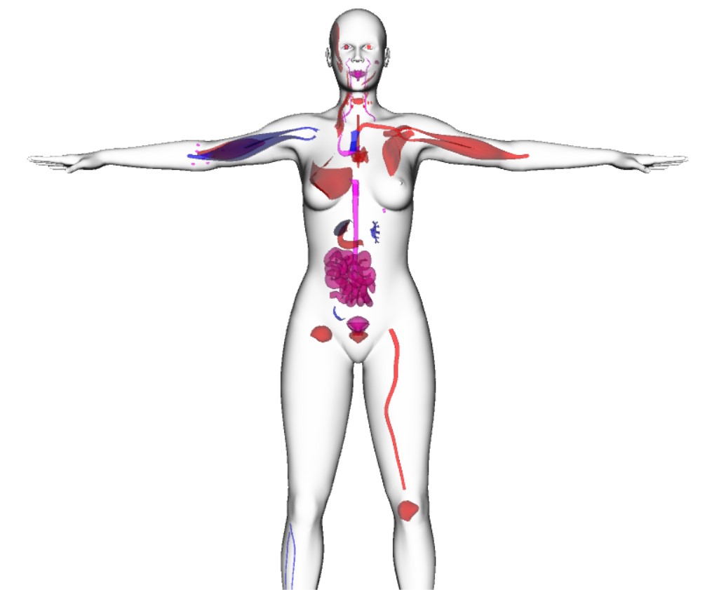 Vitalfeld BodyScan